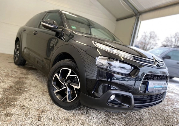 Citroen C4 Cactus cena 49900 przebieg: 92000, rok produkcji 2018 z Strumień małe 466